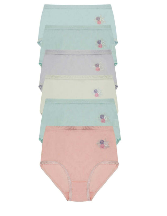 Pack of 6 Womens Embroidered Full Briefs Maxi Underwear Ultra Comfortable Stretch Waistband Premium Cotton Blend Breathable Everyday Essential Panties by Daisy Dreamer. Buy now for £11.00.